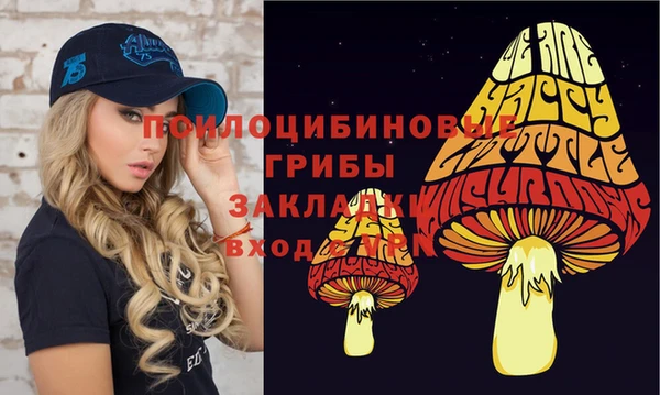 гидропоника Баксан