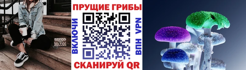 Галлюциногенные грибы мухоморы дарнет шоп Уссурийск